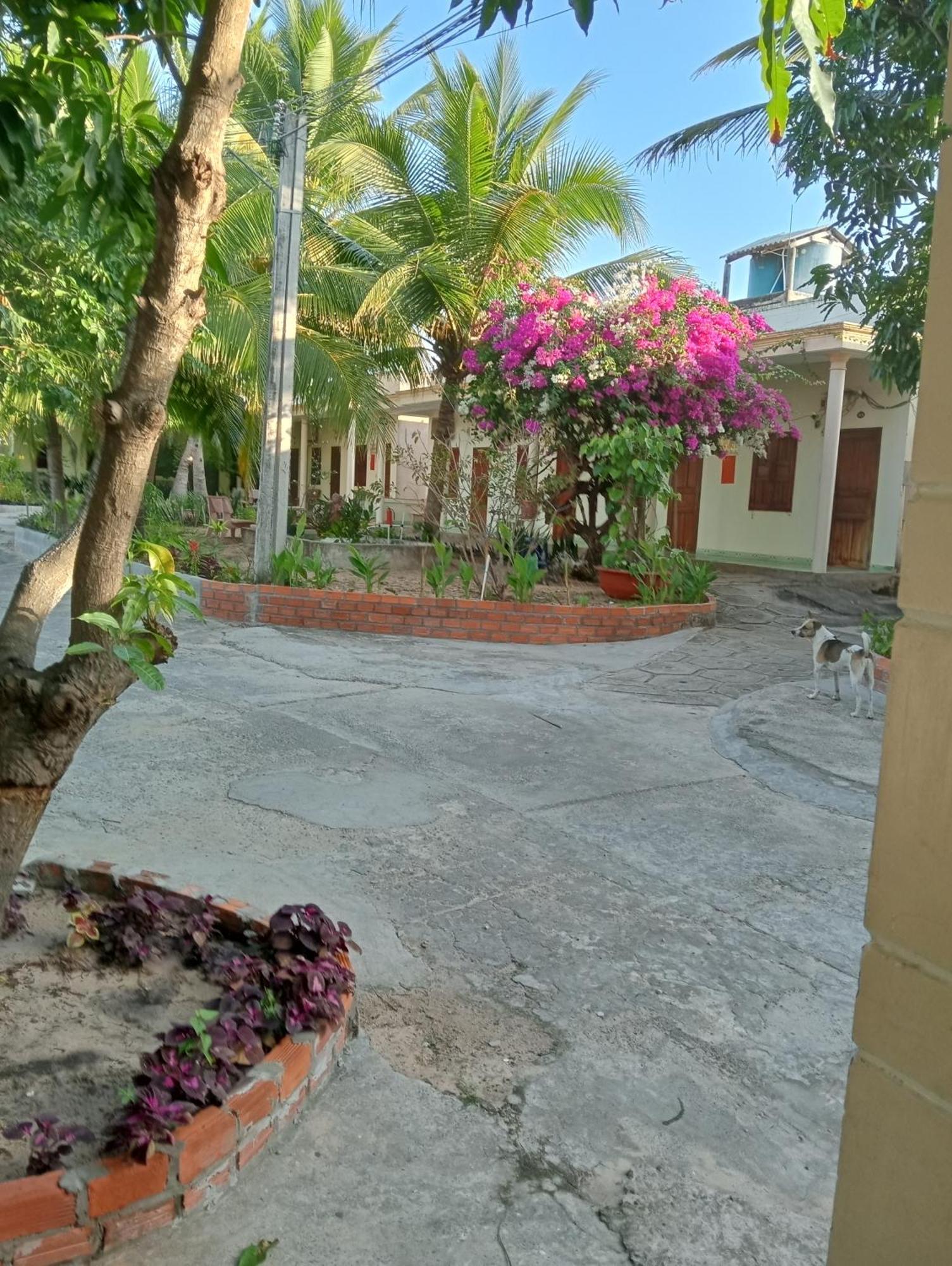 Homestay Nhat Thi Mui Ne Exterior photo